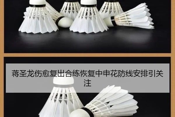 蒋圣龙伤愈复出合练恢复中申花防线安排引关注